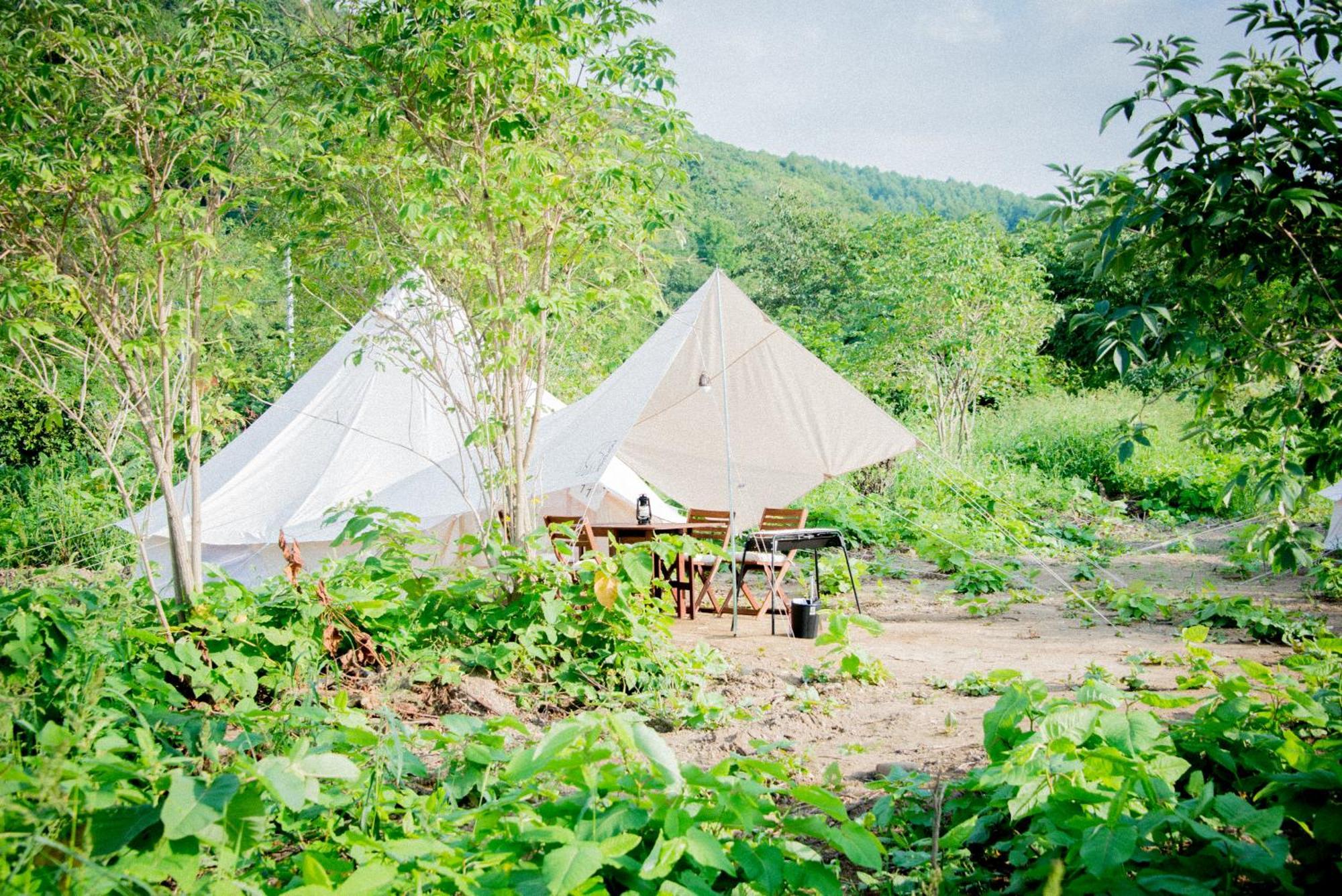 Yoichi Vineyard Glamping Hotel Buitenkant foto